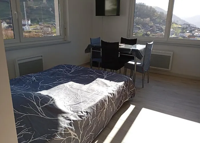 La P'tite Brimbelle De Bellevue - Parking Prive * La Bresse